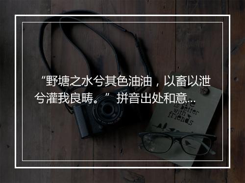 “野塘之水兮其色油油，以畜以泄兮灌我良畴。”拼音出处和意思