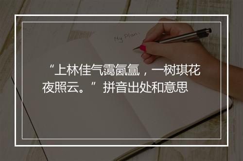 “上林佳气霭氤氲，一树琪花夜照云。”拼音出处和意思