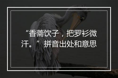 “香薷饮子，把罗衫微汗。”拼音出处和意思