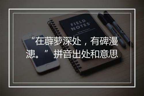 “在薜萝深处，有碑漫漶。”拼音出处和意思