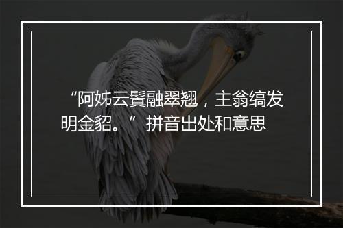 “阿姊云鬒融翠翘，主翁缟发明金貂。”拼音出处和意思