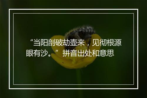 “当阳剖破劫壶来，见彻根源眼有沙。”拼音出处和意思