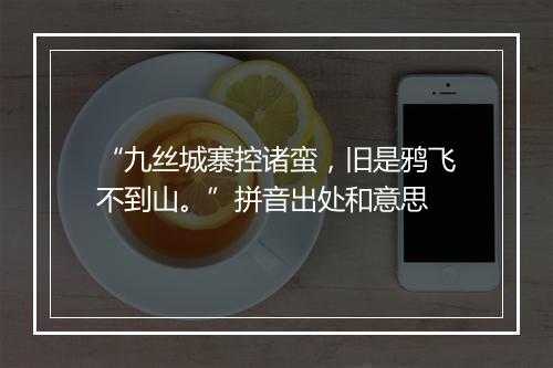 “九丝城寨控诸蛮，旧是鸦飞不到山。”拼音出处和意思