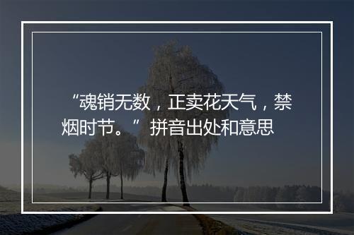 “魂销无数，正卖花天气，禁烟时节。”拼音出处和意思