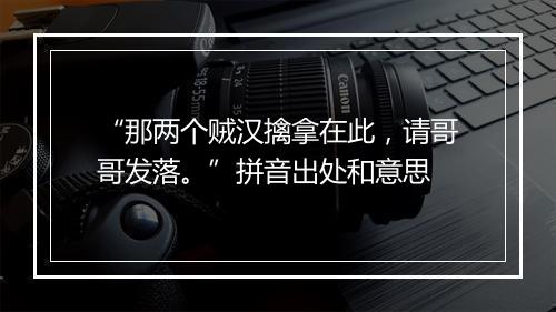 “那两个贼汉擒拿在此，请哥哥发落。”拼音出处和意思