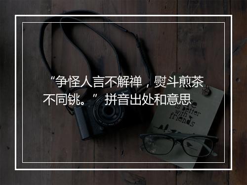 “争怪人言不解禅，熨斗煎茶不同铫。”拼音出处和意思