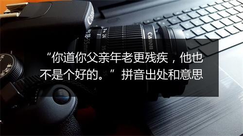 “你道你父亲年老更残疾，他也不是个好的。”拼音出处和意思