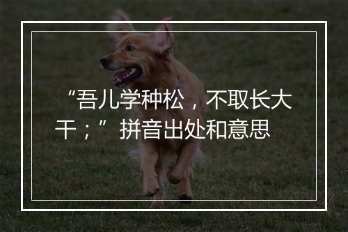 “吾儿学种松，不取长大干；”拼音出处和意思