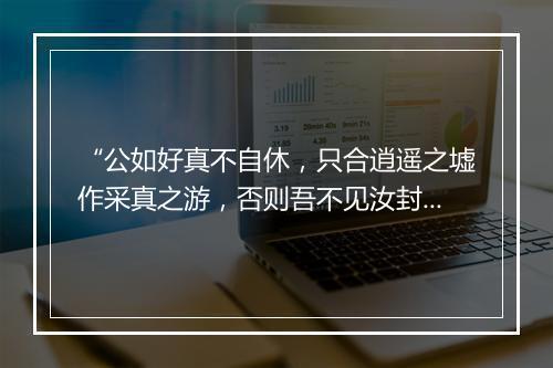 “公如好真不自休，只合逍遥之墟作采真之游，否则吾不见汝封侯。”拼音出处和意思