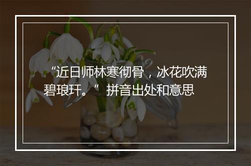 “近日师林寒彻骨，冰花吹满碧琅玕。”拼音出处和意思