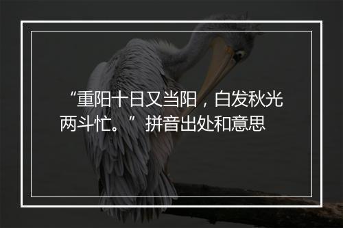 “重阳十日又当阳，白发秋光两斗忙。”拼音出处和意思