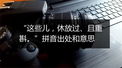 “这些儿，休放过、且重斟。”拼音出处和意思