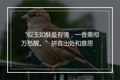 “似玉如酥最有情，一香熏彻万愁醒。”拼音出处和意思