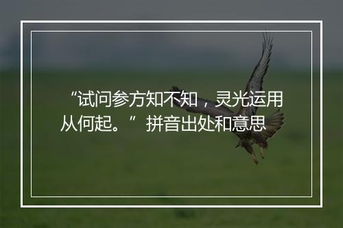 “试问参方知不知，灵光运用从何起。”拼音出处和意思