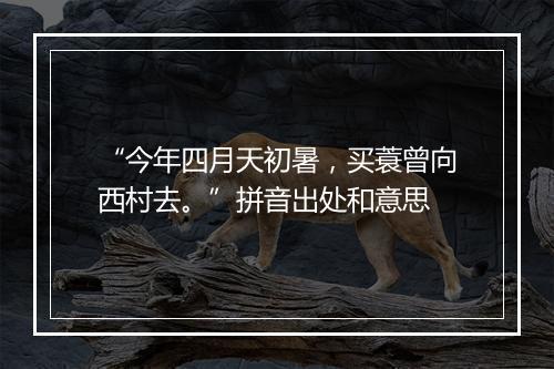 “今年四月天初暑，买蓑曾向西村去。”拼音出处和意思