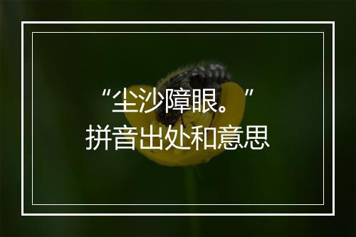 “尘沙障眼。”拼音出处和意思