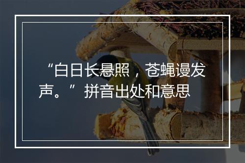 “白日长悬照，苍蝇谩发声。”拼音出处和意思