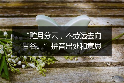 “贮月分云，不劳远去向甘谷。”拼音出处和意思