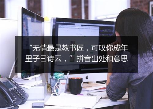 “无情最是教书匠，可叹你成年里子曰诗云，”拼音出处和意思