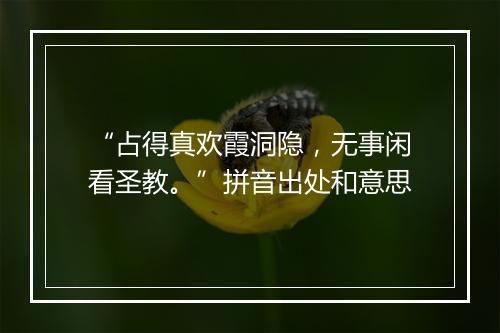 “占得真欢霞洞隐，无事闲看圣教。”拼音出处和意思