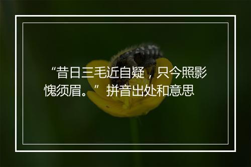 “昔日三毛近自疑，只今照影愧须眉。”拼音出处和意思