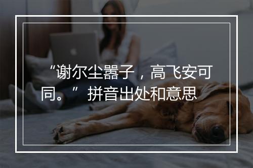 “谢尔尘嚣子，高飞安可同。”拼音出处和意思