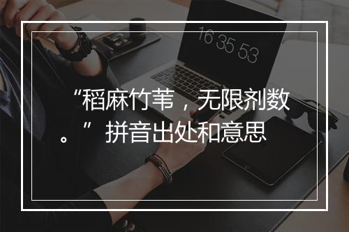 “稻麻竹苇，无限剂数。”拼音出处和意思