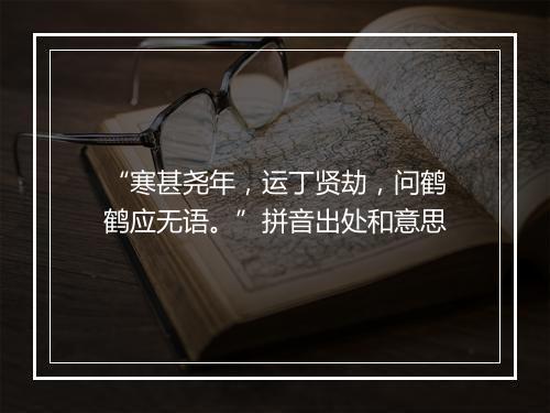 “寒甚尧年，运丁贤劫，问鹤鹤应无语。”拼音出处和意思