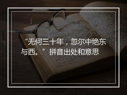 “无何三十年，忽尔中绝东与西。”拼音出处和意思