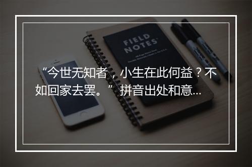 “今世无知者，小生在此何益？不如回家去罢。”拼音出处和意思