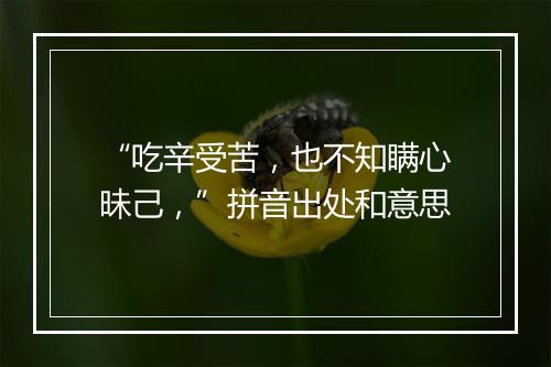 “吃辛受苦，也不知瞒心昧己，”拼音出处和意思