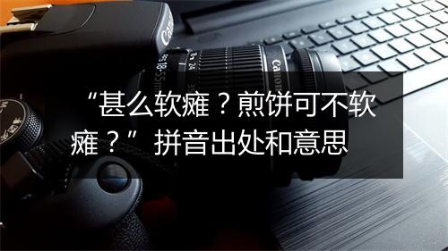 “甚么软瘫？煎饼可不软瘫？”拼音出处和意思