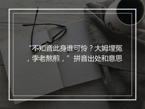 “不知音此身谁可怜？大姆埋冤，孛老熬煎，”拼音出处和意思