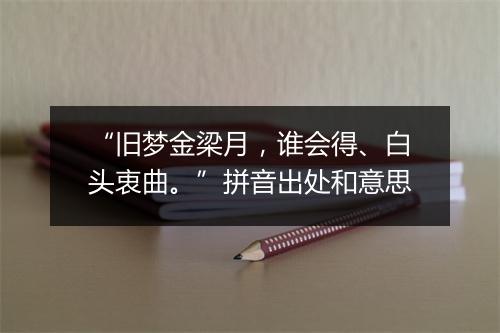 “旧梦金梁月，谁会得、白头衷曲。”拼音出处和意思