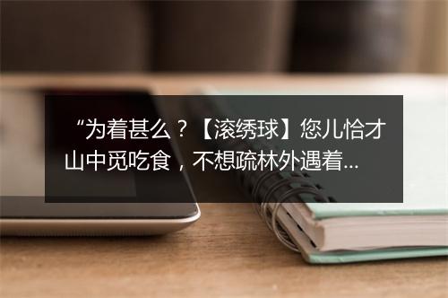 “为着甚么？【滚绣球】您儿恰才山中觅吃食，不想疏林外遇着贼盗。”拼音出处和意思