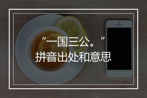 “一国三公。”拼音出处和意思