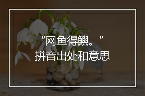 “网鱼得鱮。”拼音出处和意思