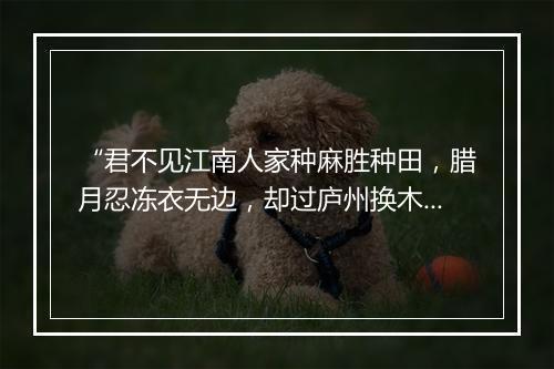 “君不见江南人家种麻胜种田，腊月忍冻衣无边，却过庐州换木绵。”拼音出处和意思