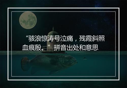 “骇浪惊涛号泣痛，残霞斜照血痕殷。”拼音出处和意思