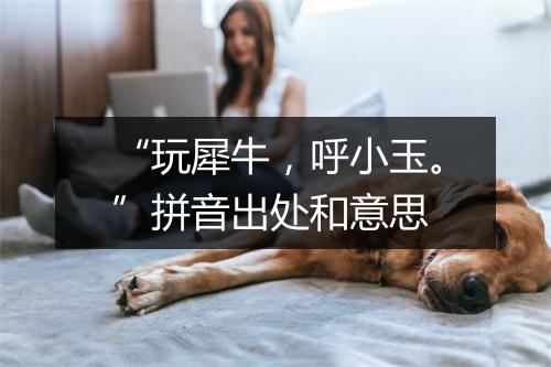 “玩犀牛，呼小玉。”拼音出处和意思