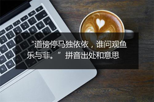 “道傍停马独依依，谁问观鱼乐与非。”拼音出处和意思