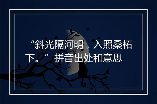 “斜光隔河明，入照桑柘下。”拼音出处和意思