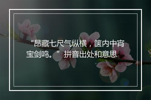 “昂藏七尺气纵横，箧内中宵宝剑鸣。”拼音出处和意思