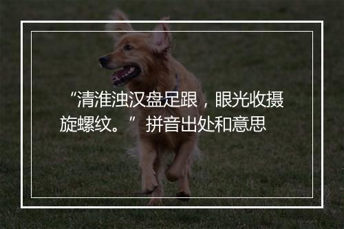 “清淮浊汉盘足跟，眼光收摄旋螺纹。”拼音出处和意思