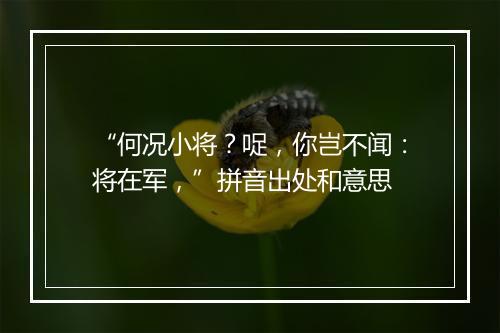 “何况小将？哫，你岂不闻：将在军，”拼音出处和意思