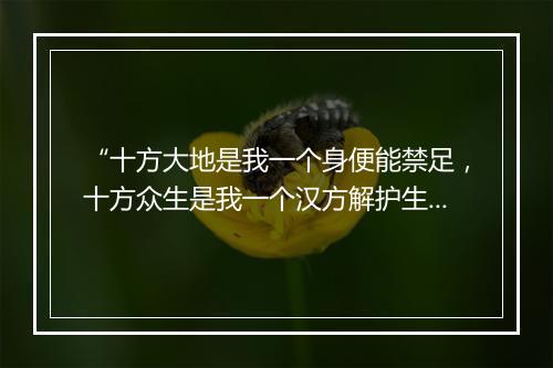 “十方大地是我一个身便能禁足，十方众生是我一个汉方解护生。”拼音出处和意思