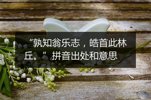 “孰知翁乐志，皓首此林丘。”拼音出处和意思