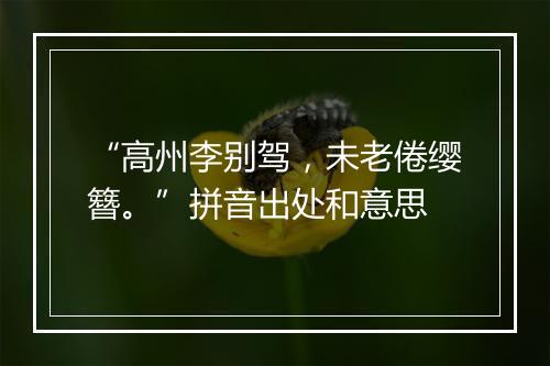 “高州李别驾，未老倦缨簪。”拼音出处和意思