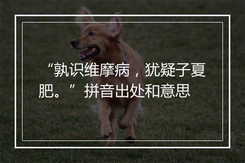 “孰识维摩病，犹疑子夏肥。”拼音出处和意思