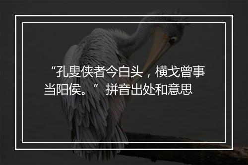 “孔叟侠者今白头，横戈曾事当阳侯。”拼音出处和意思